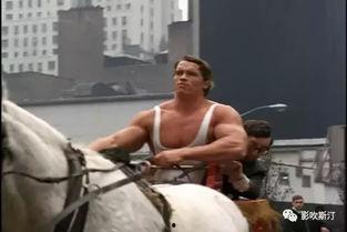 意大利种马在线观看,一场视觉与情感的盛宴